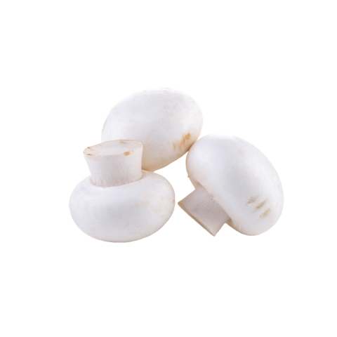 Real mushroom png
