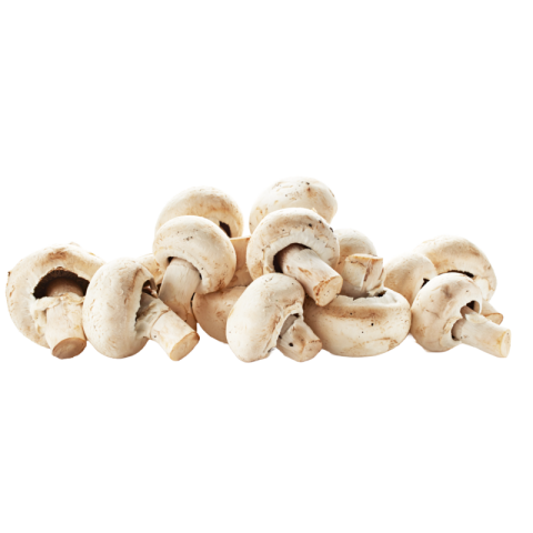 Mushroom png transparent free