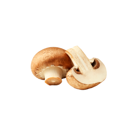 Mushroom png transparent free
