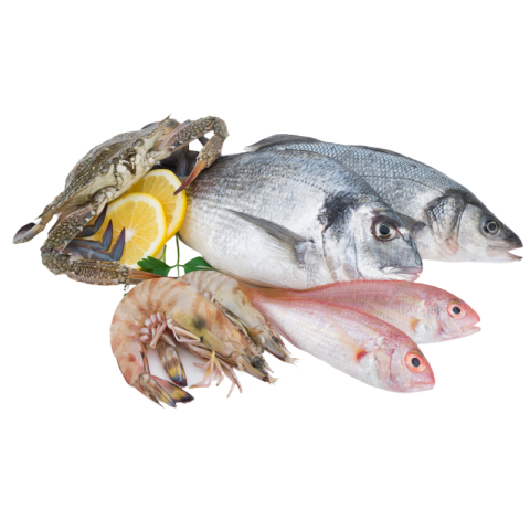 Fish png background