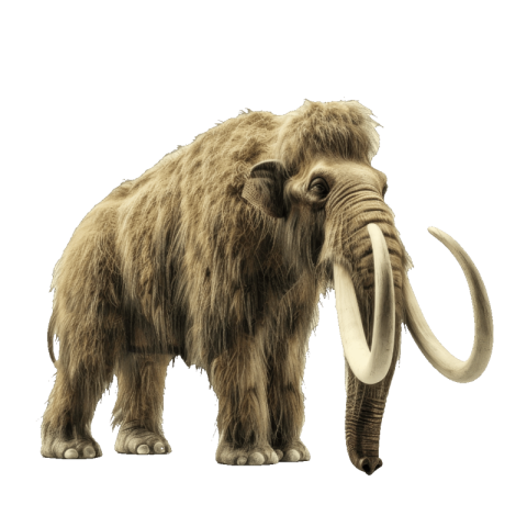 Mammoth png download