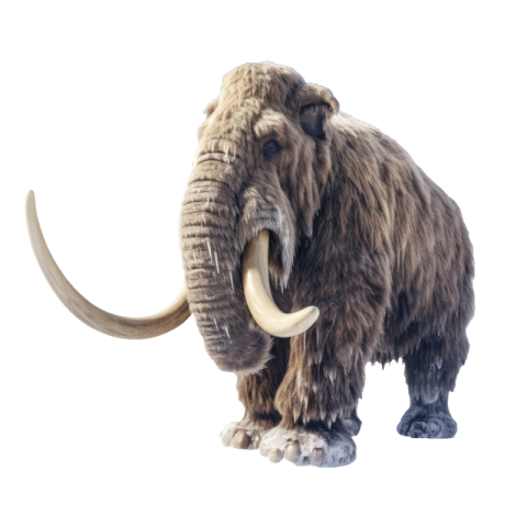 Mammoth png transparent image