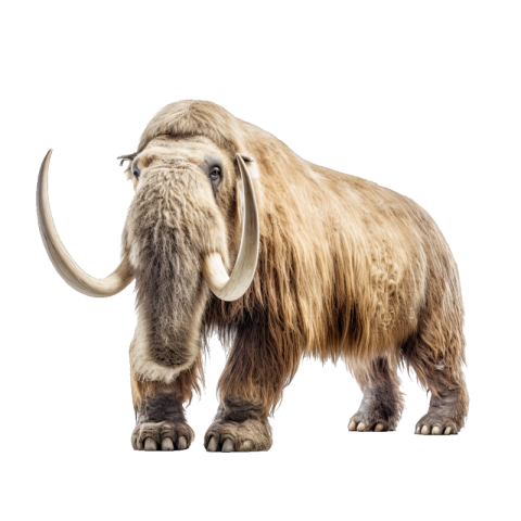 Mammoth png transparent free