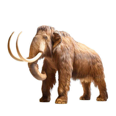 Mammoth png transparent background