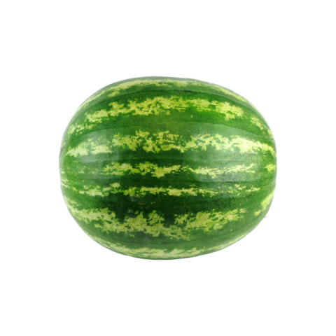 Transparent watermelon png