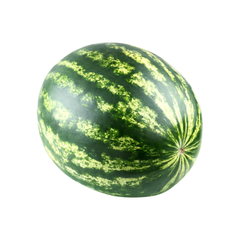 Watermelon png hd