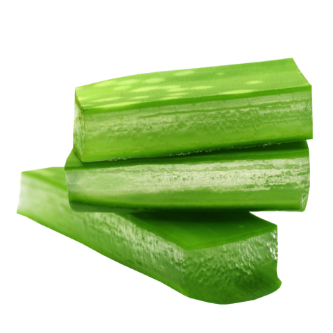 Aloe vera png