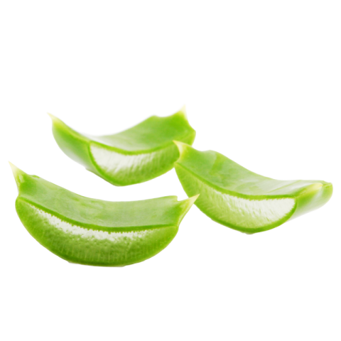 Aloe vera png images