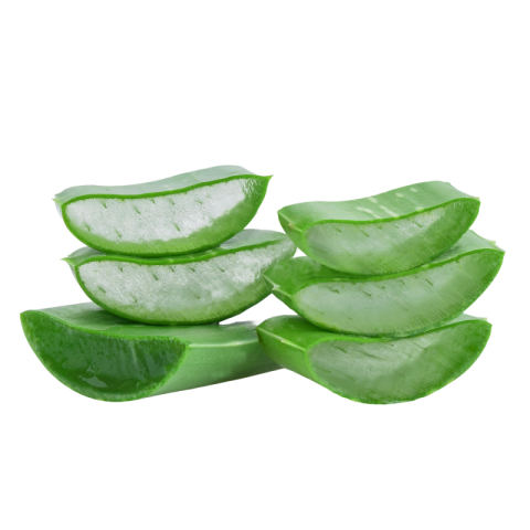 Aloe vera slice png