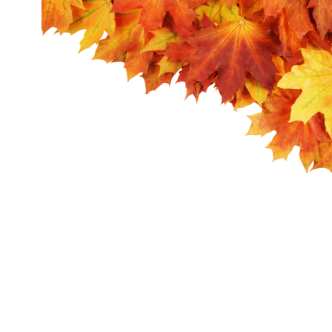 Autumn leaves png transparent