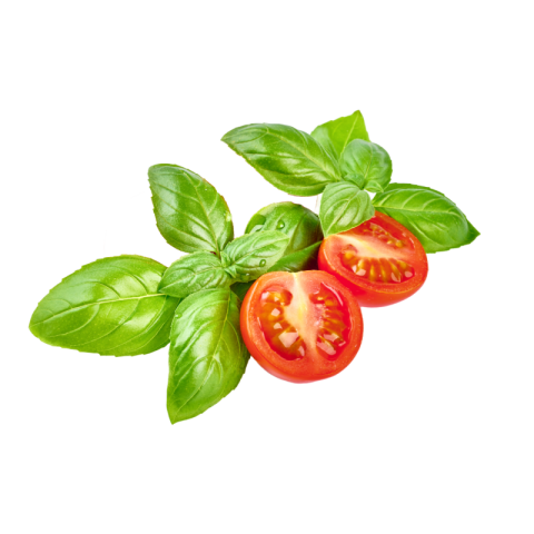 Basil png download