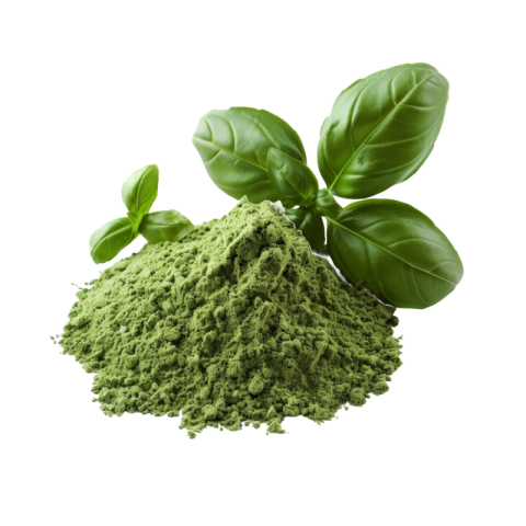 Basil png free download