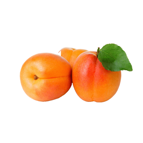 Apricot png free