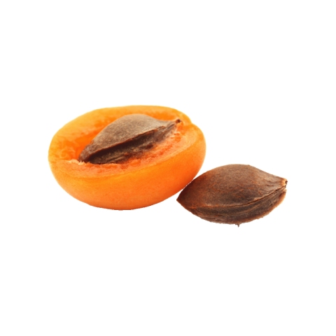 Apricot png image free