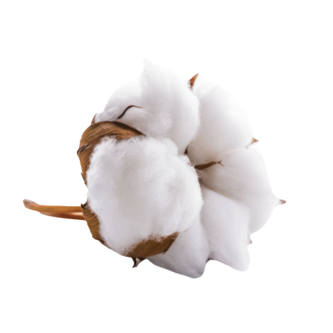 Cotton png