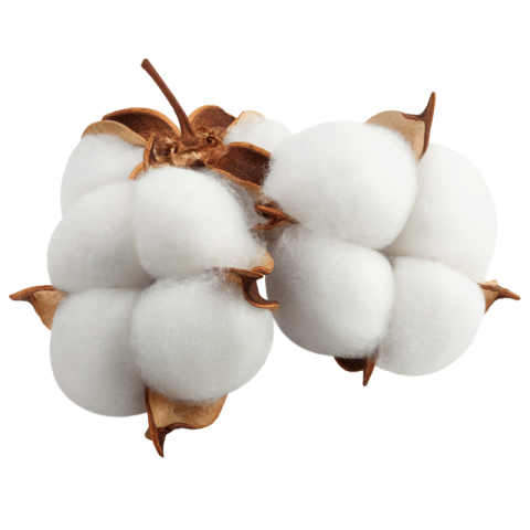 Cotton png hd
