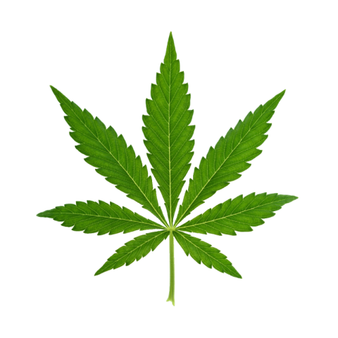 Cannabis png transparent download