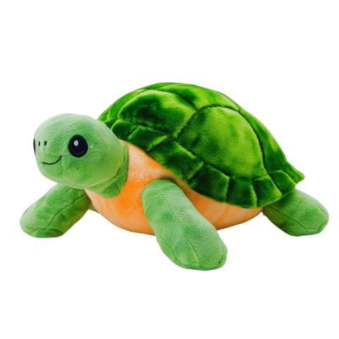 Cartoon turtle png