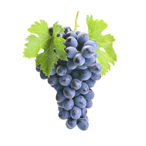 Black grapes png