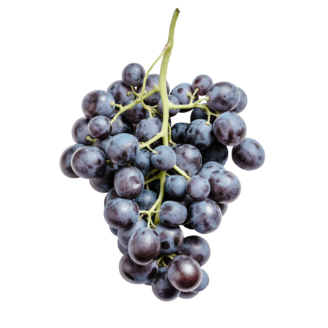 Black grapes png background