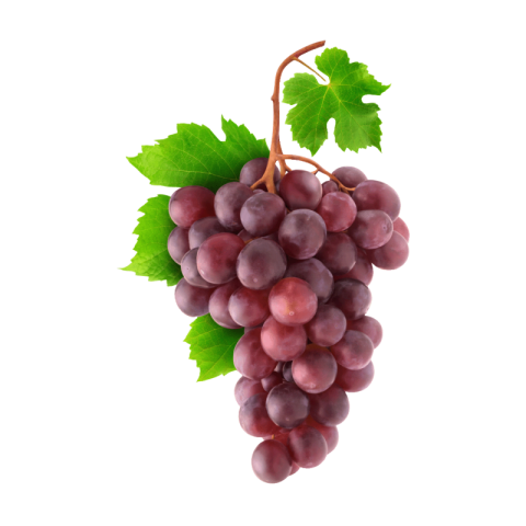 Red grapes png download