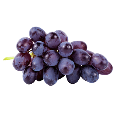 Black grapes png free download