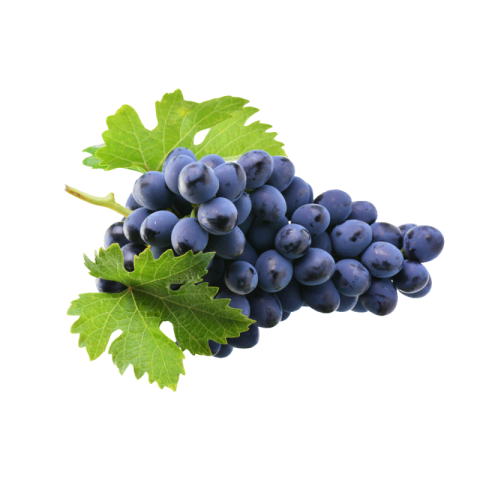 Black grapes png free