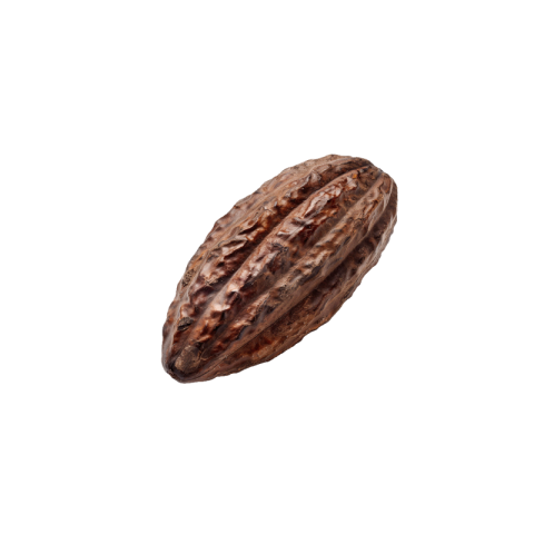 Cacao png transparent free