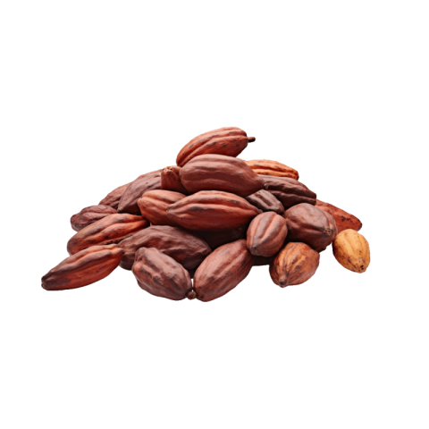 Cacao png transparent free download