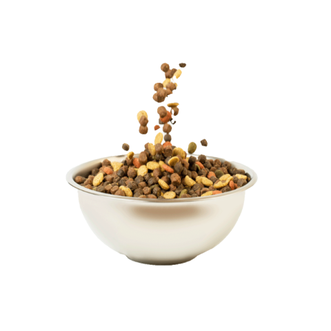 Transparent dog food png