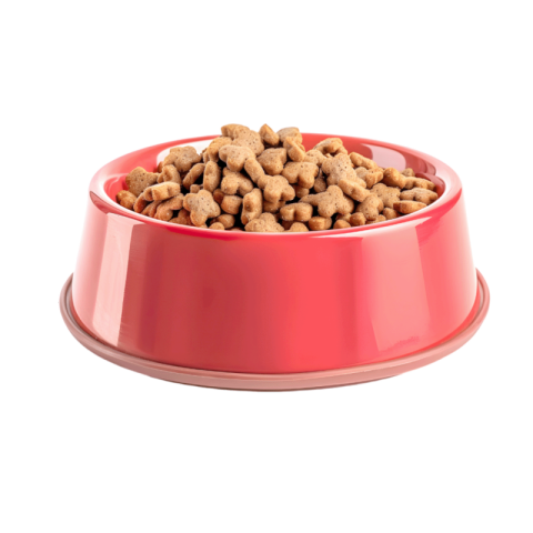 Dry Dog Food Stainless Steel Bowl PNG Images