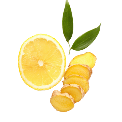 Ginger png free download