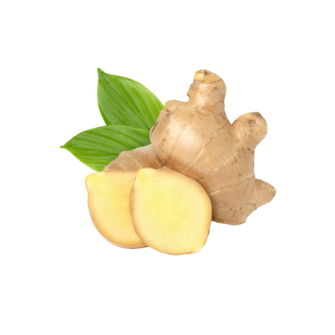 Ginger slice png