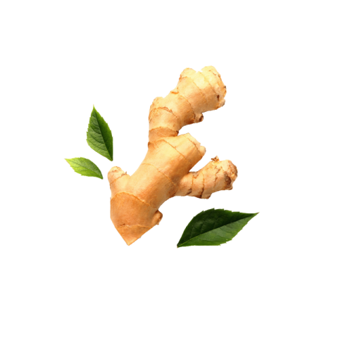 Ginger png hd