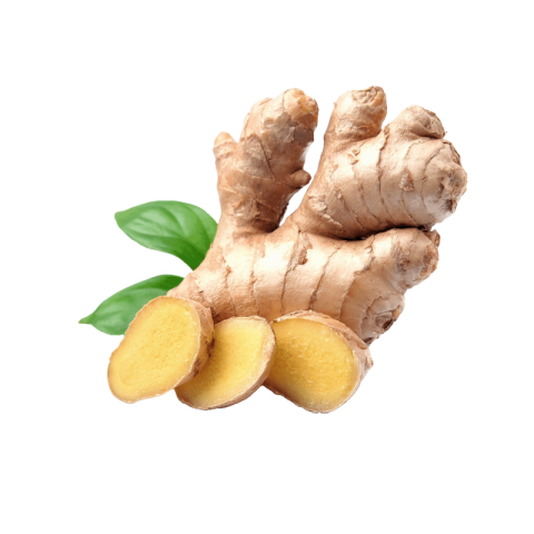 Fresh ginger png