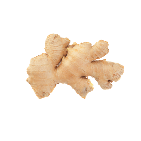 Ginger png free