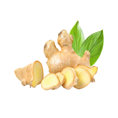 Ginger png transparent image