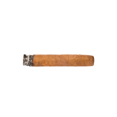 Cigar png