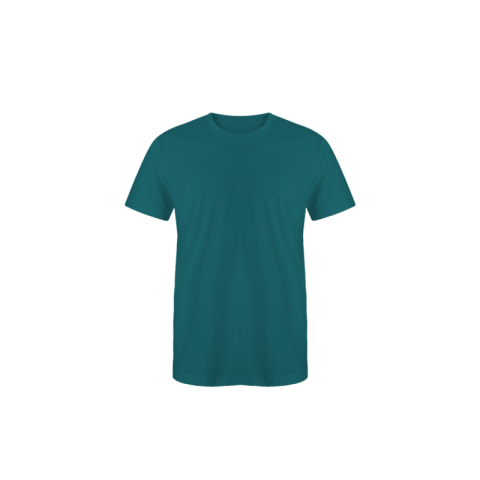 Blank t shirt mock up