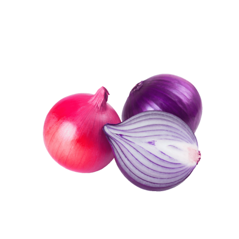 Onion png download
