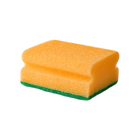 Sponge png transparent