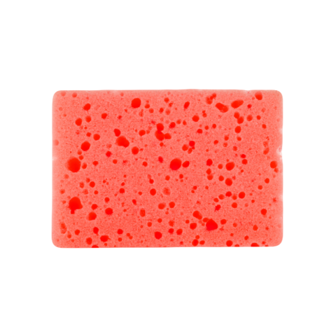 Sponge png download