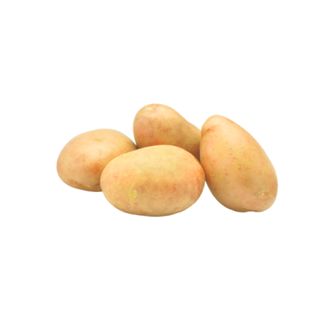 Potato png