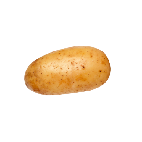 Single potato png