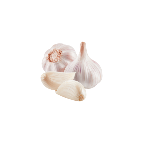 Garlic png