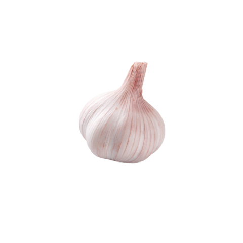 Garlic png transparent