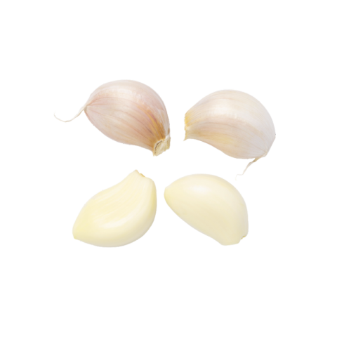 Garlic clove png