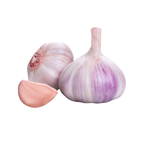 Garlic png transparent free