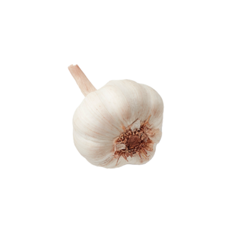 Single garlic png image download