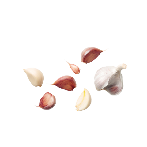 Garlic clove png transparent images free download